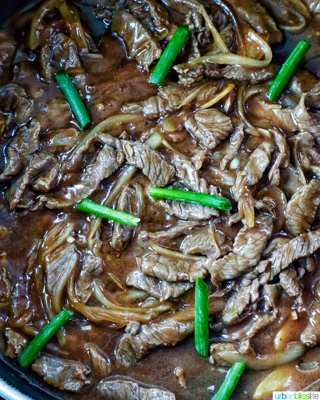 beef and onion stir fry.