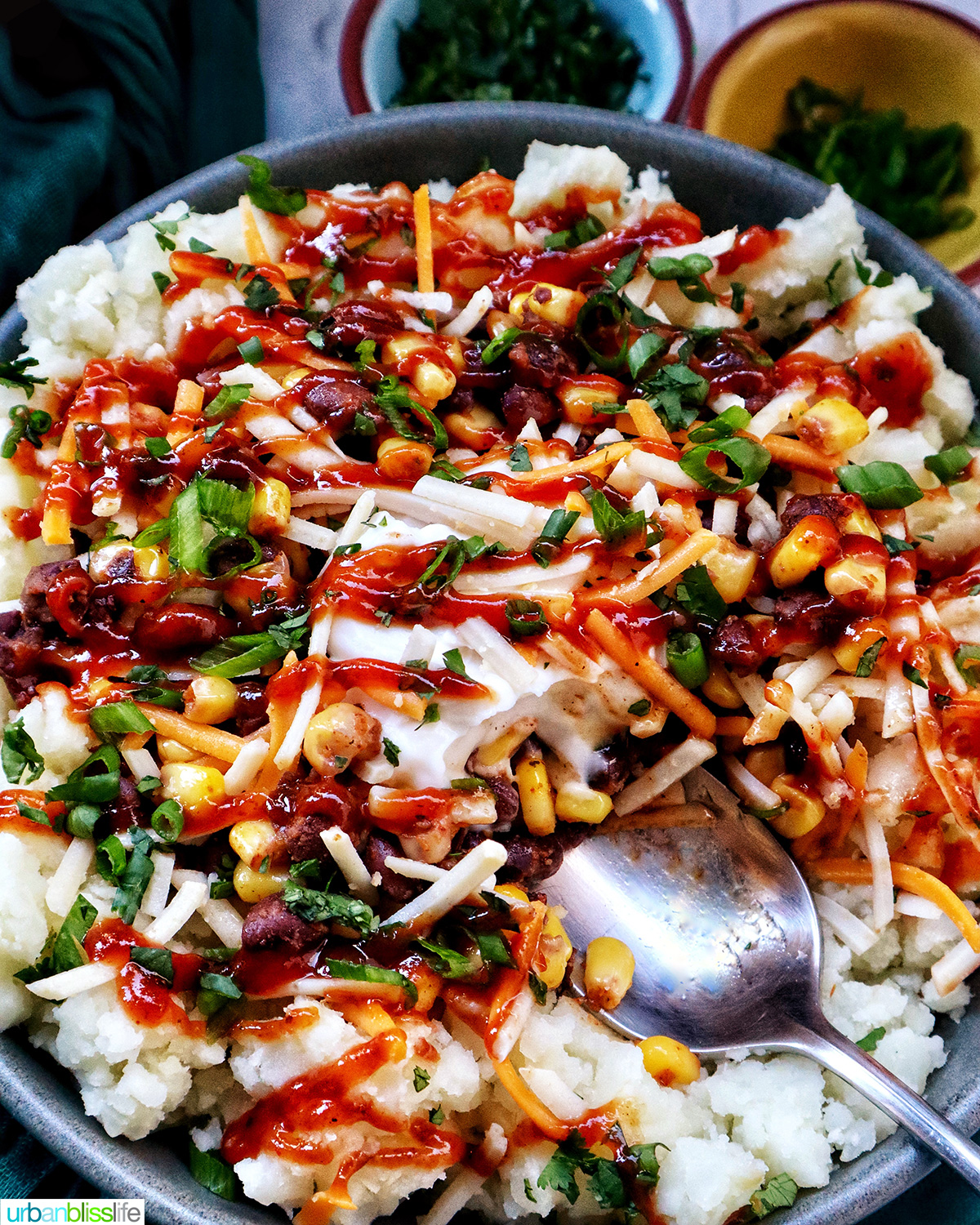 loaded potato bowl with mashed potatoes, beans, corn, cheese, and herbs.