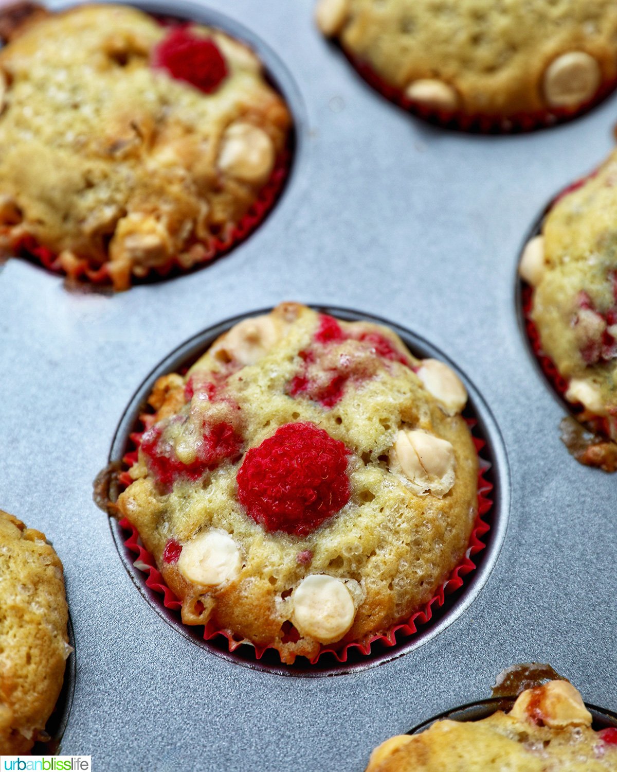 raspberry white chocolate chip muffins in a muffin pan.