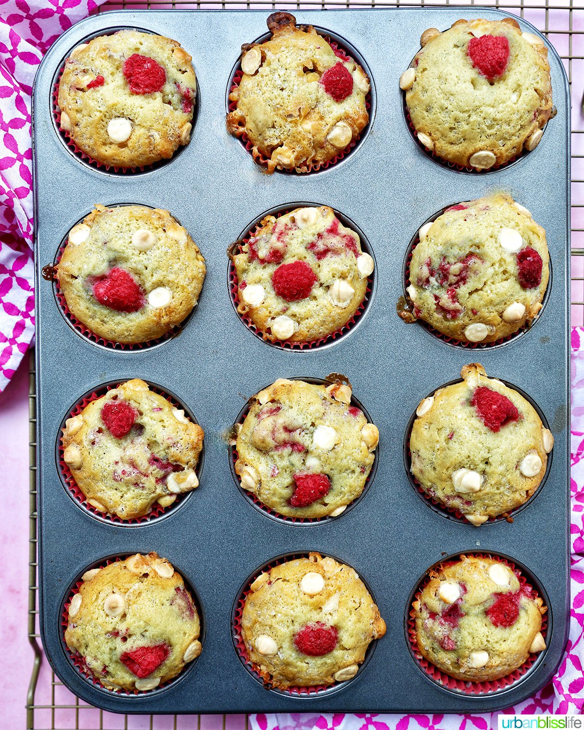 raspberry white chocolate chip muffins in a muffin pan.
