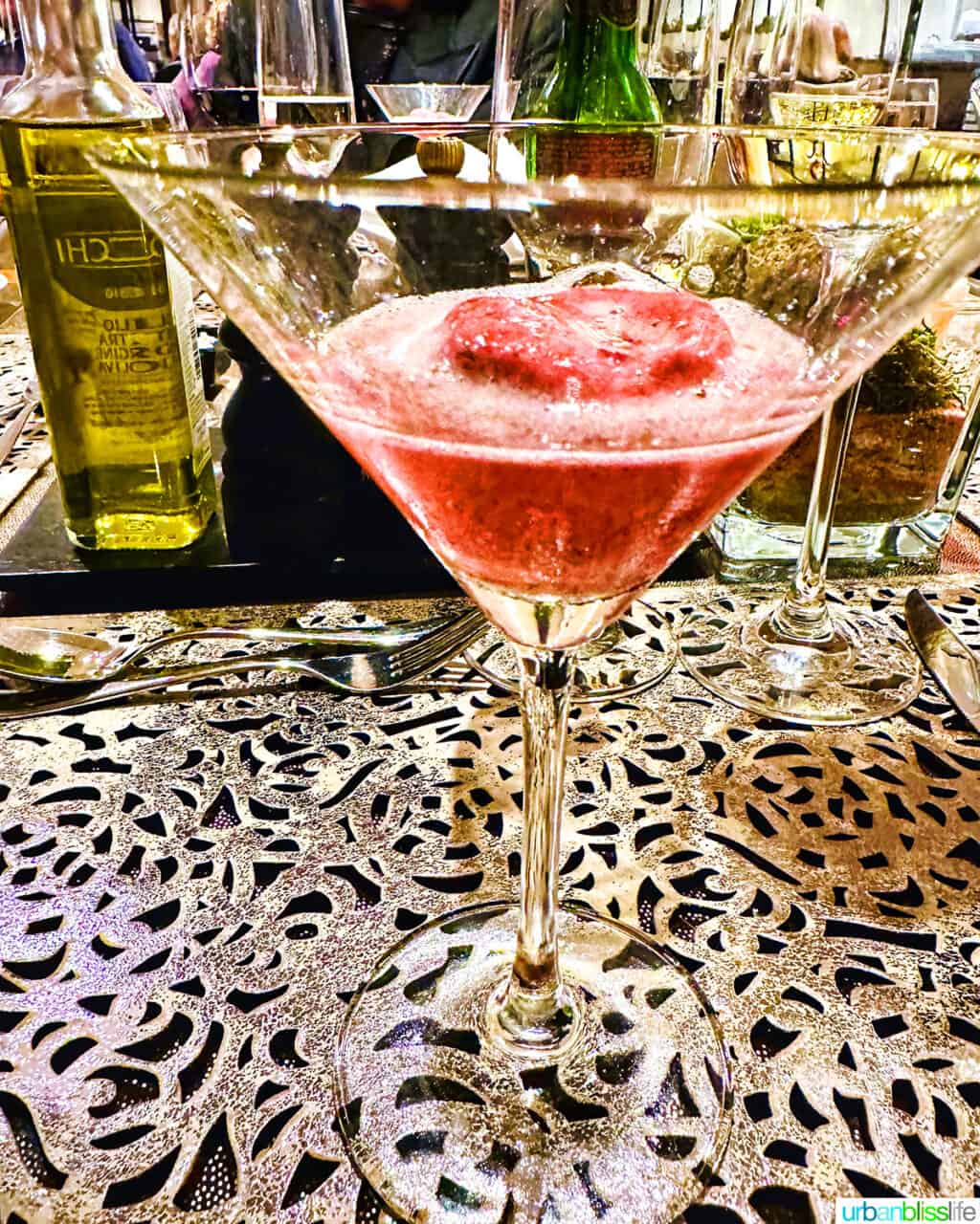 raspberry sorbet at Chef's Table dinner on AmaWaterways river cruise.