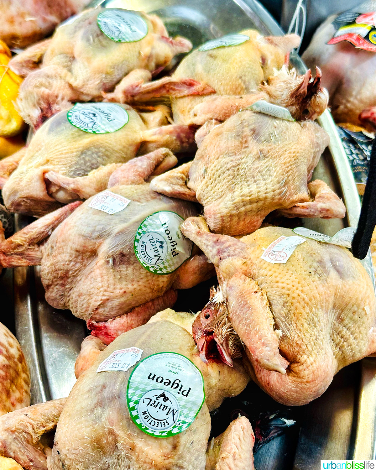 fresh pigeon at les halles avignon