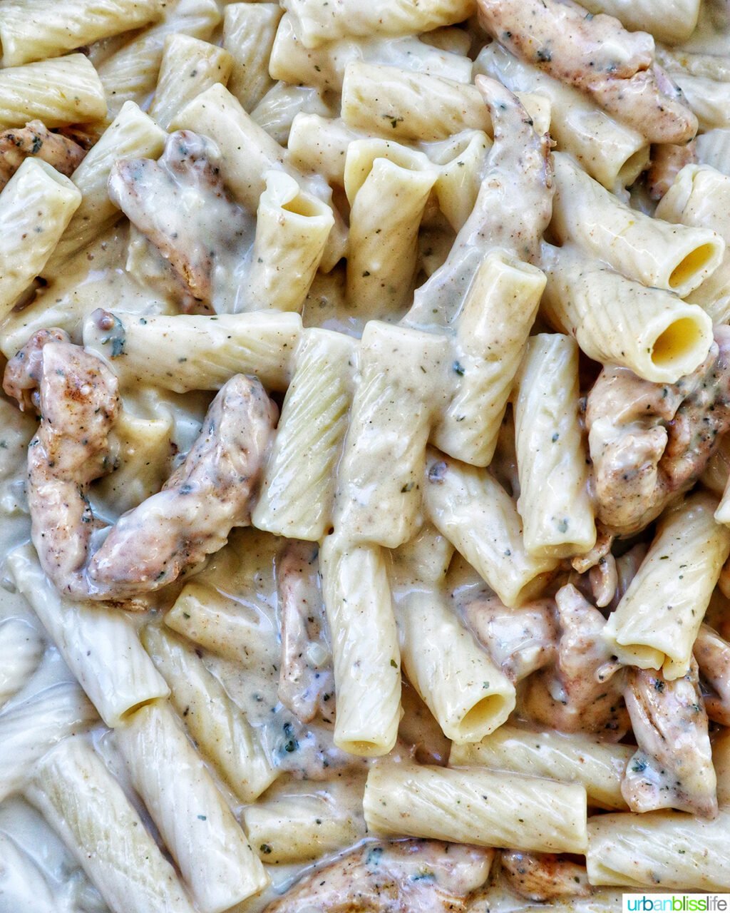 garlic chicken parmesan pasta.
