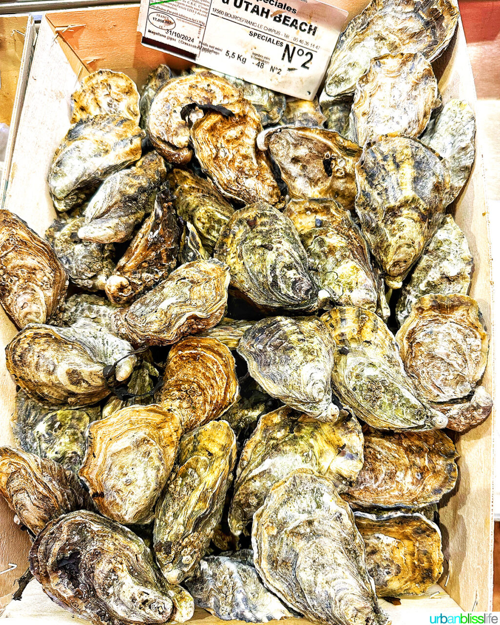 oysters at Les Halles food market in Lyon