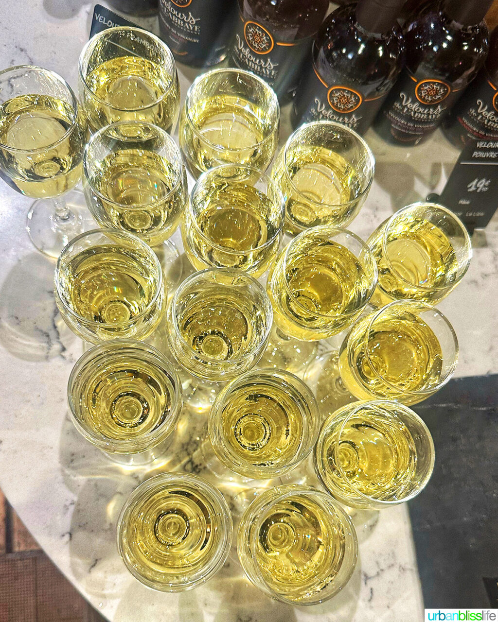 white wine in glasses