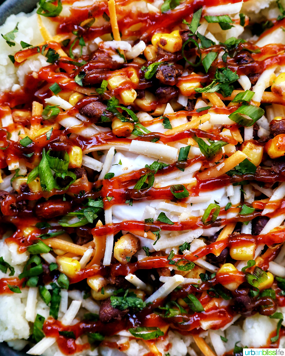 loaded potato bowl with mashed potatoes, beans, corn, cheese, and herbs.