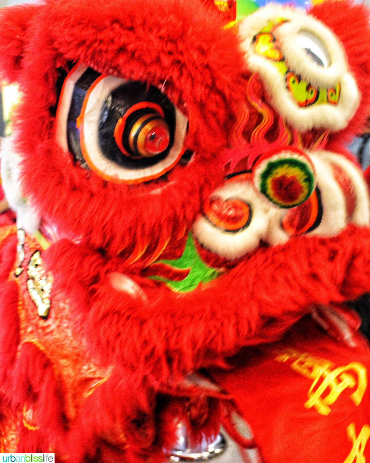 red chinese dragon for lunar new year and chinese new year.