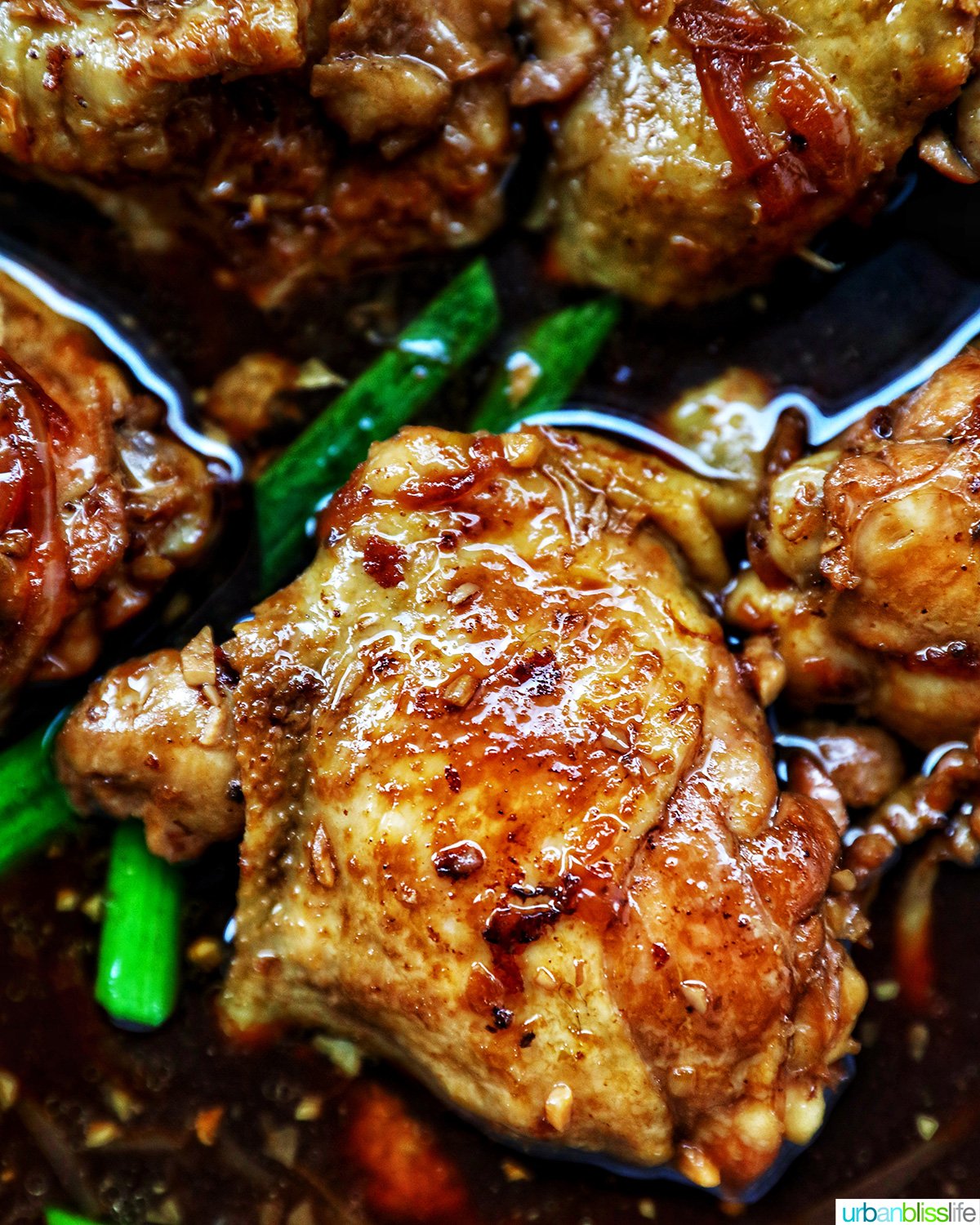 Chinese braised chicken.