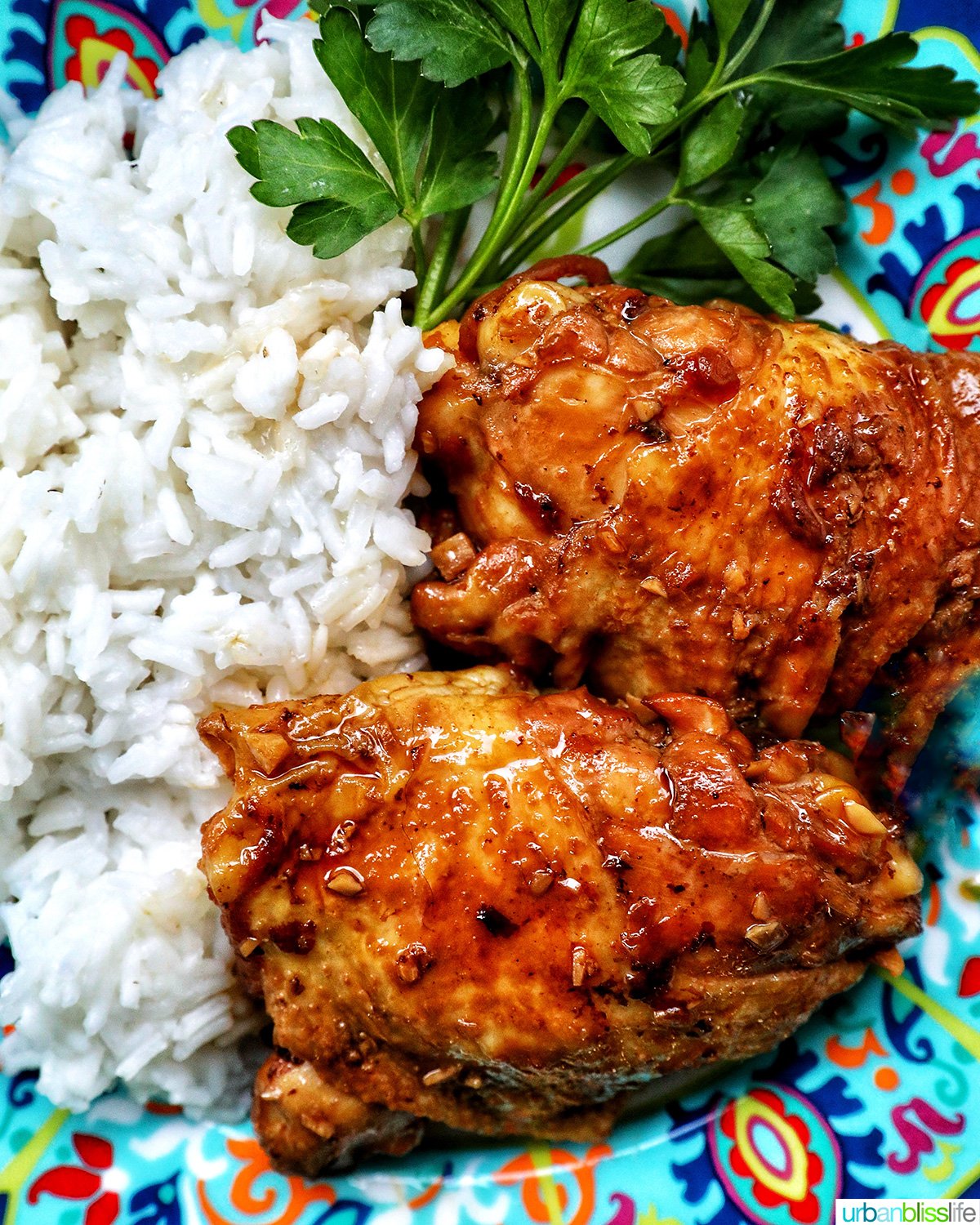 Chinese braised chicken with rice on a colorful plate.