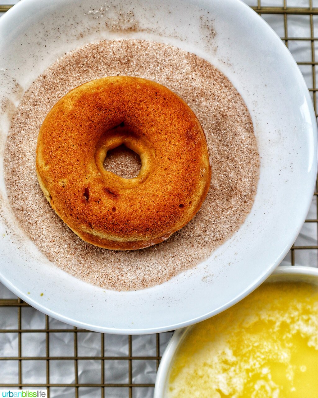 donut dipped into bowl of cinnamon sugar.