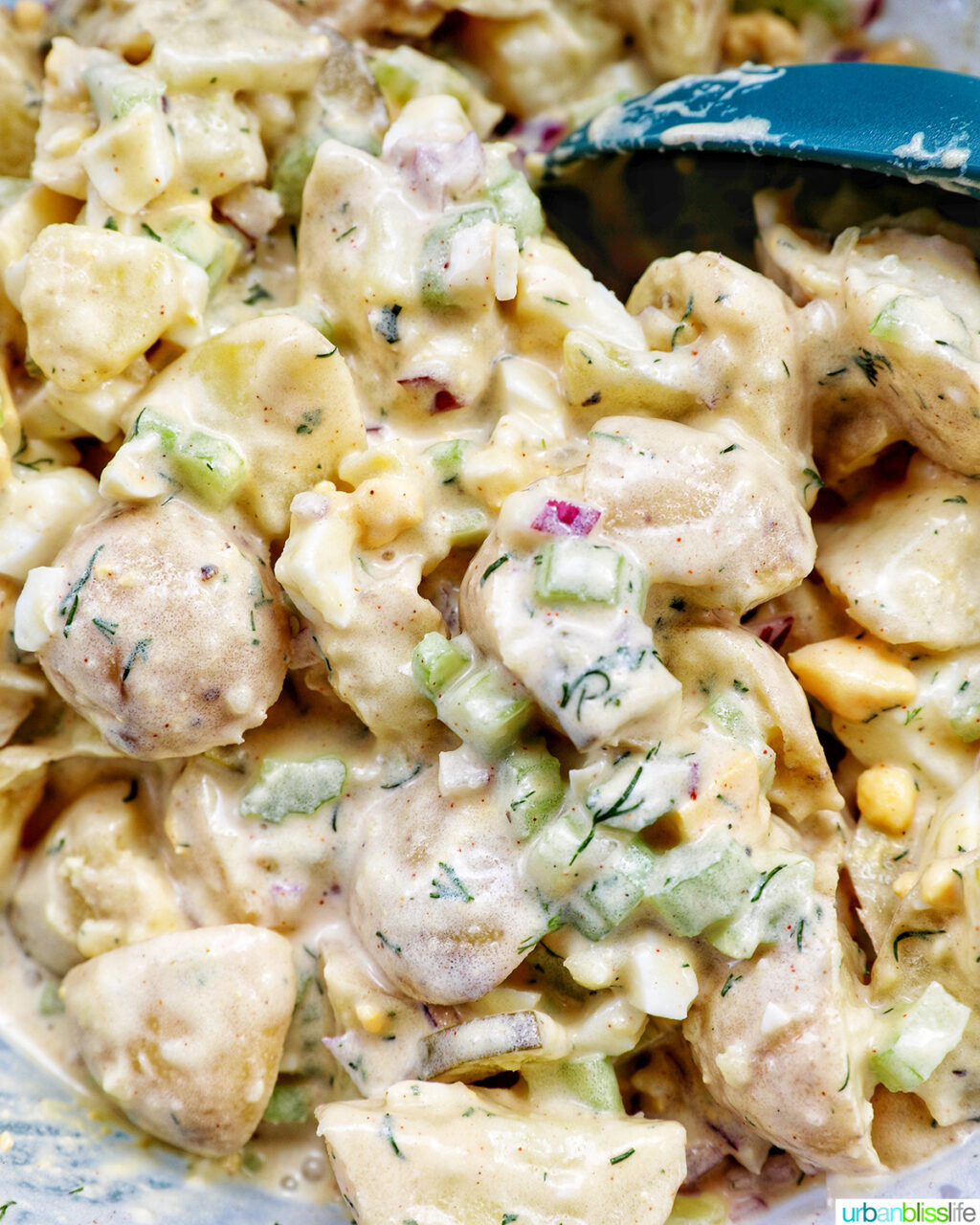 dill pickle potato salad.