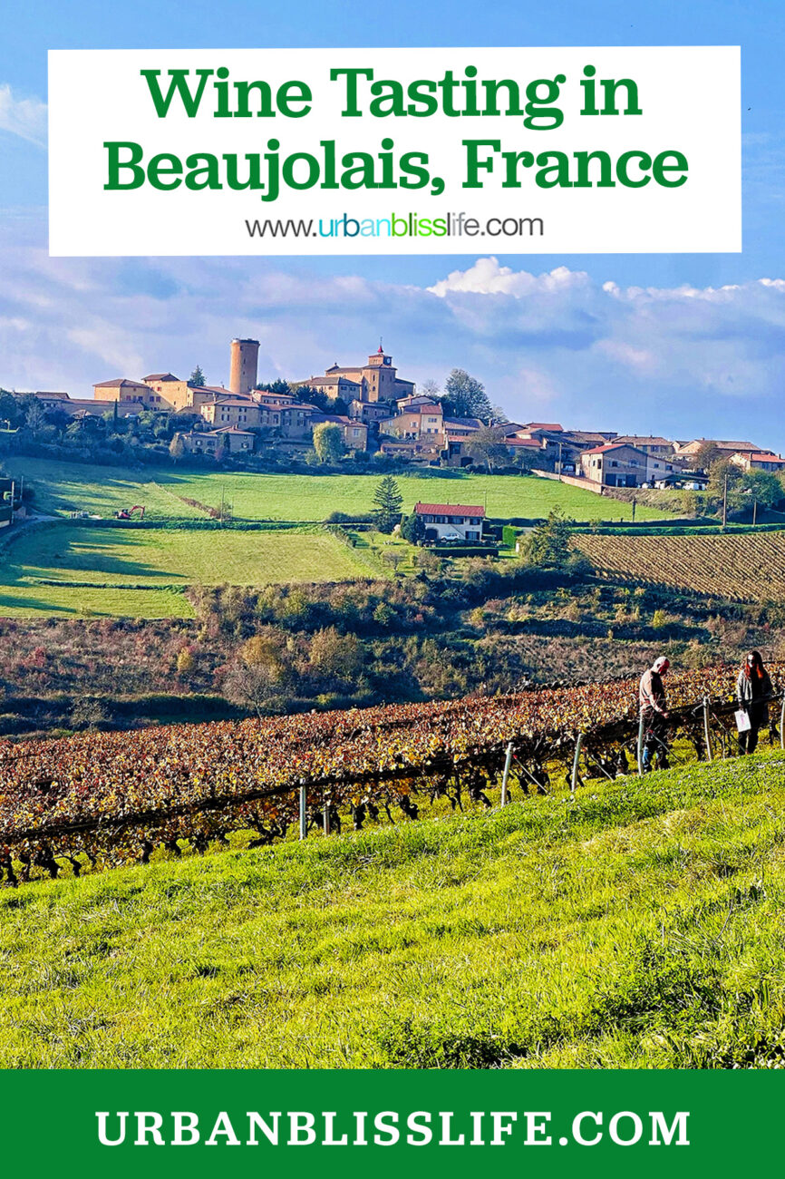 vineyard in beaujolais, france with text overlay