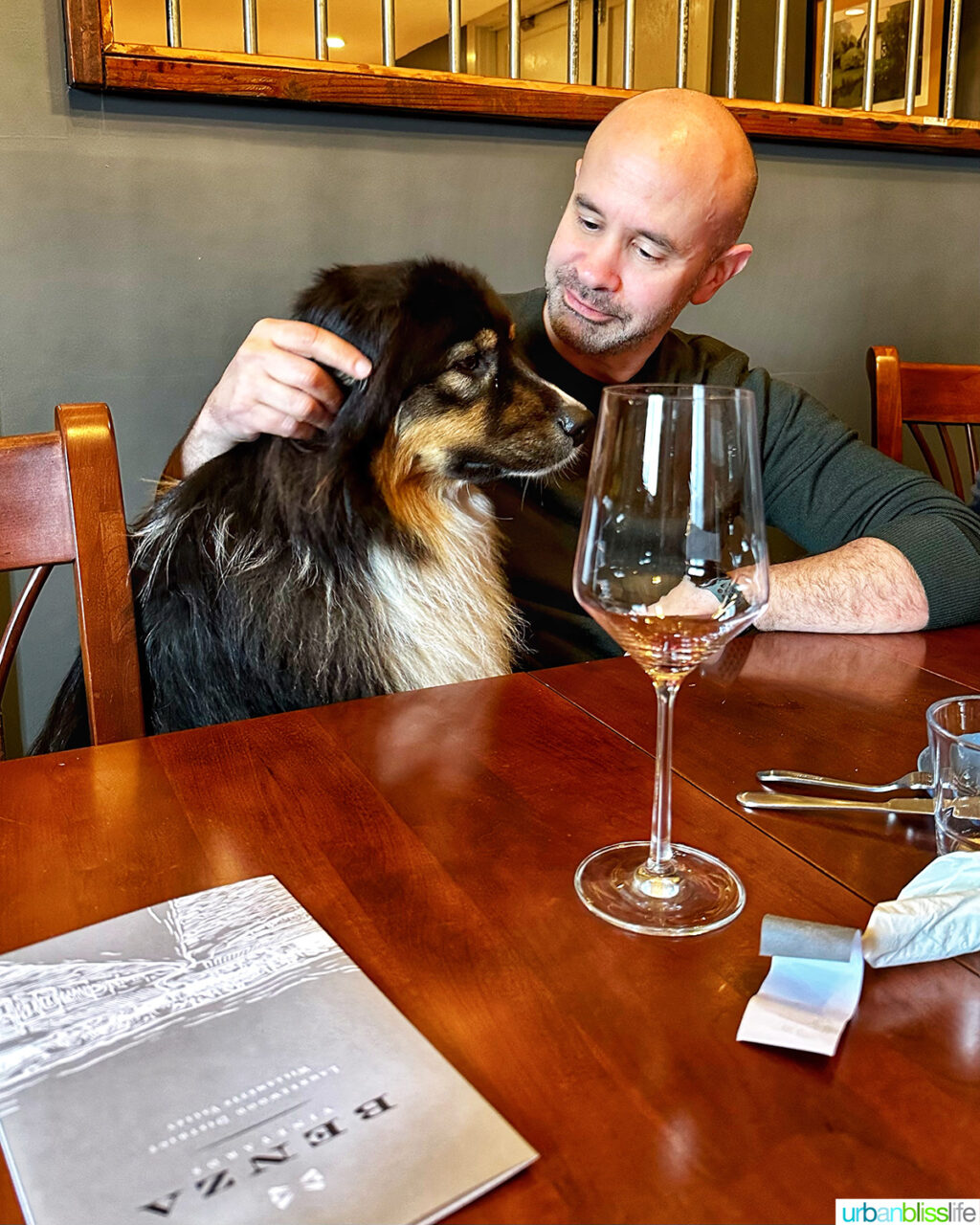 bruno dog at benza vineyards