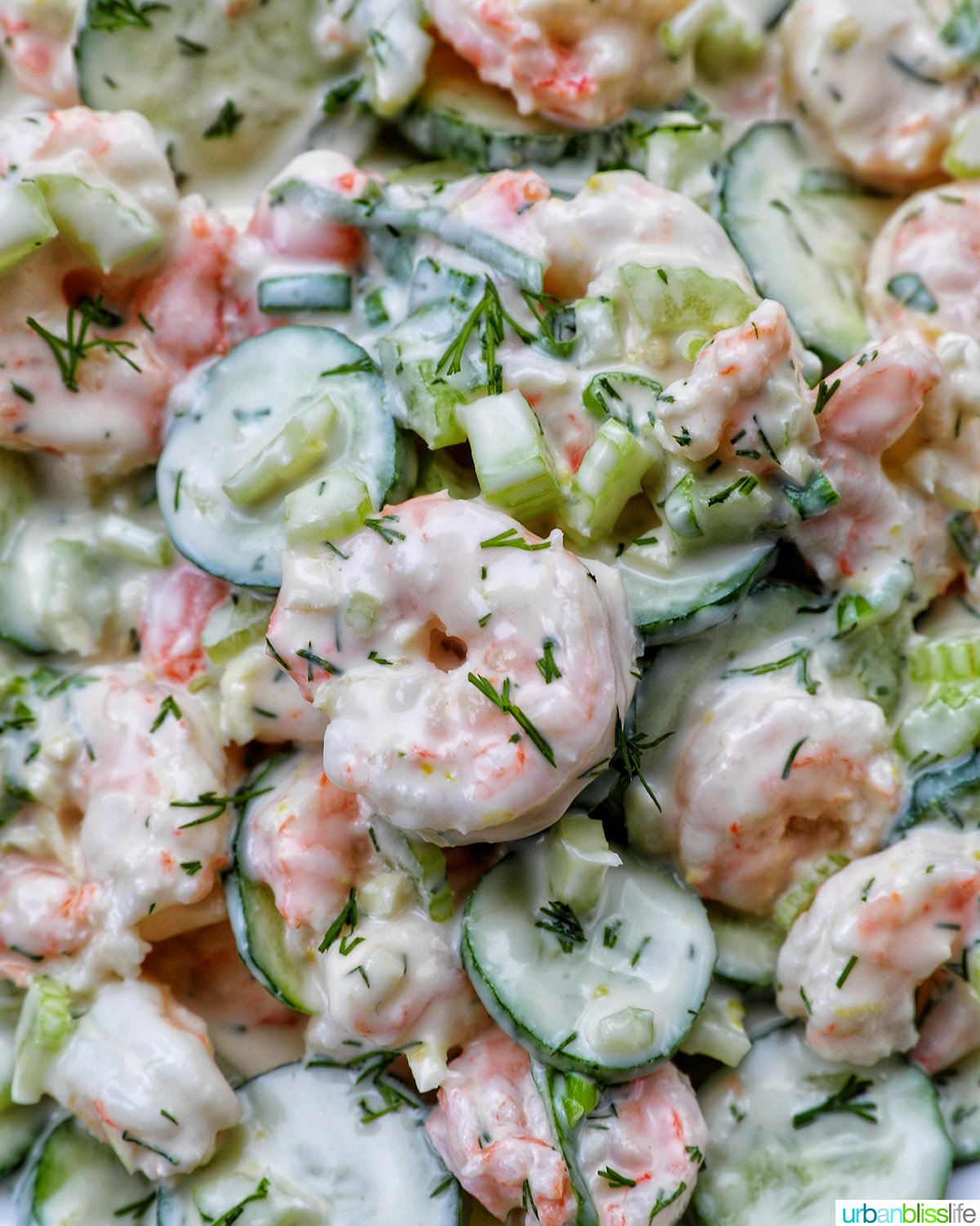 cucumber shrimp salad.