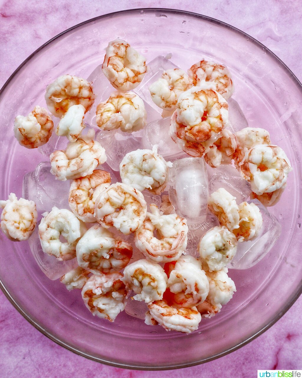 shrimp cooling in a bowl of ice.
