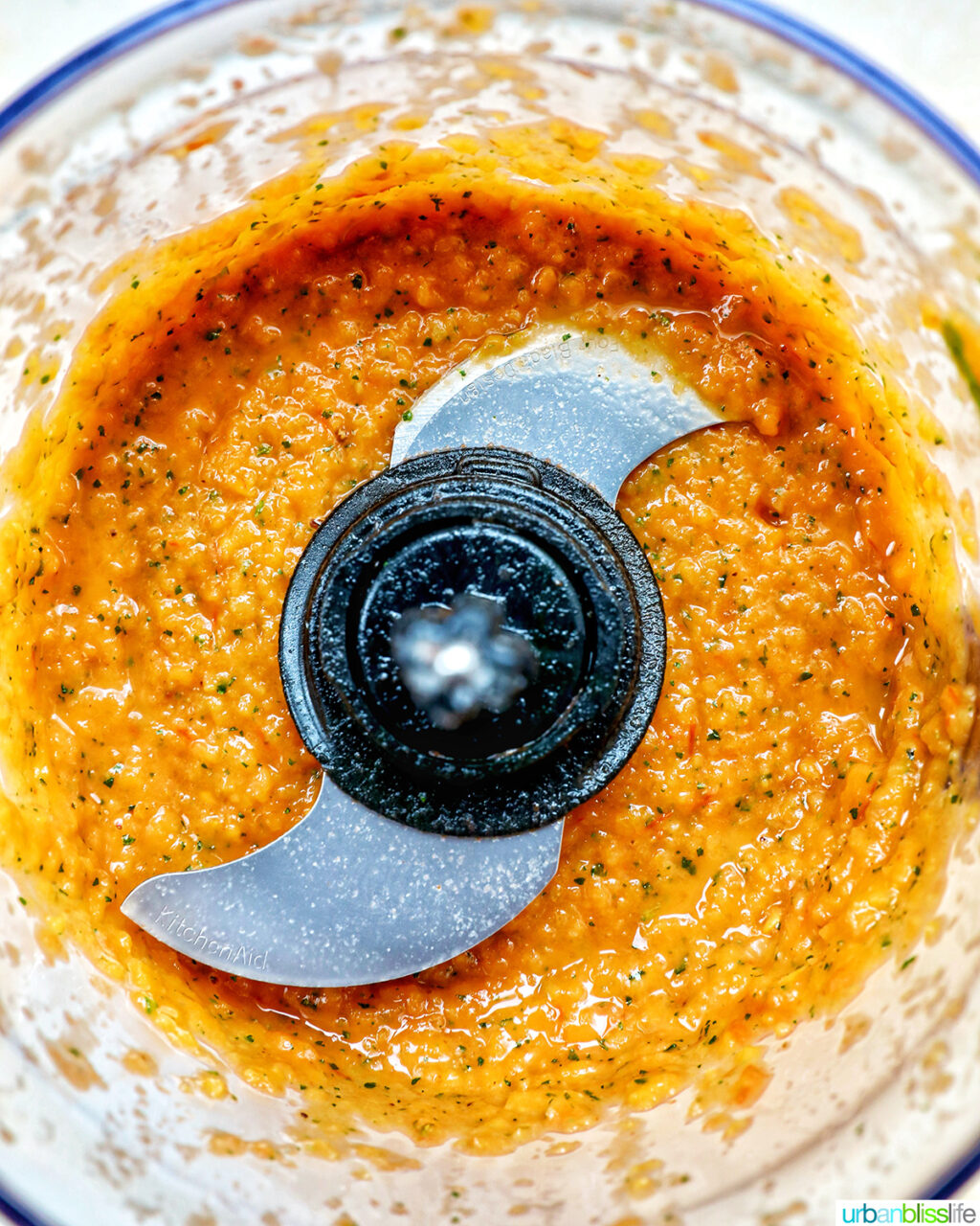 mango habañero salsa blended in a food processor.
