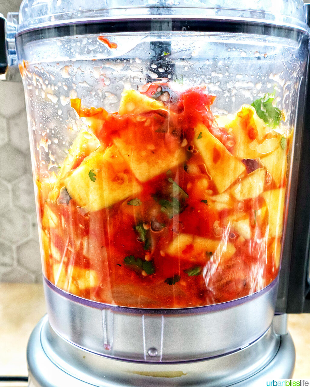 mango habañero salsa in a food processor.