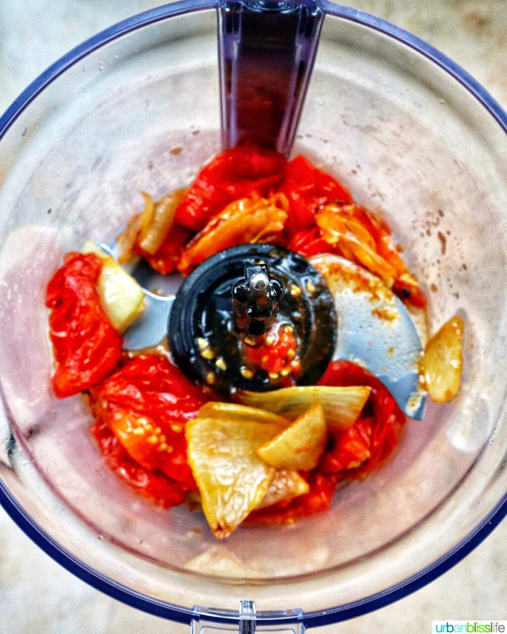 roasted tomatoes, mangos, onions, and garlic in a food processor.