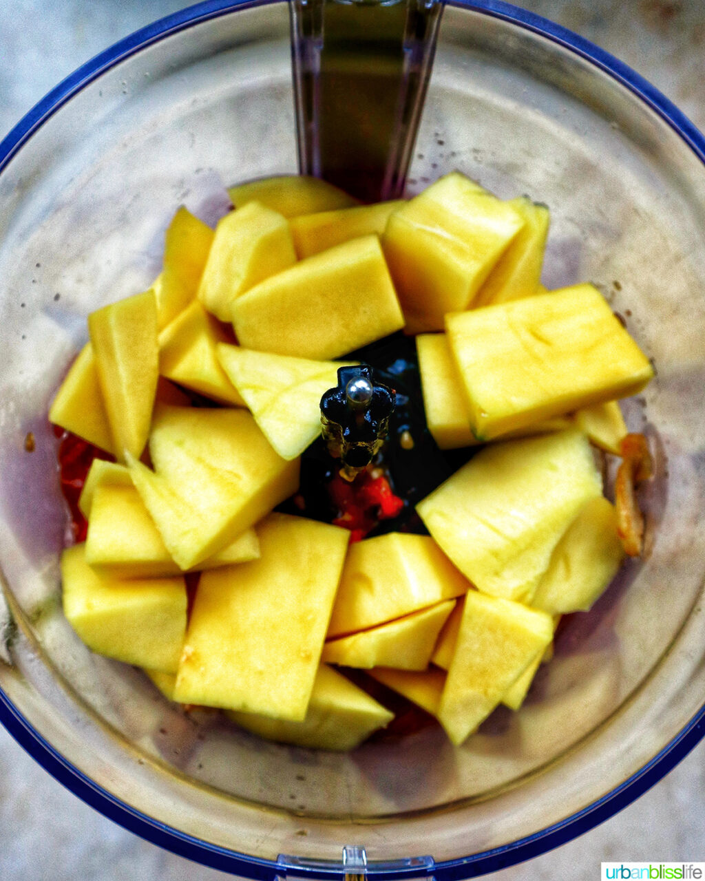 mangos added to a food processor.