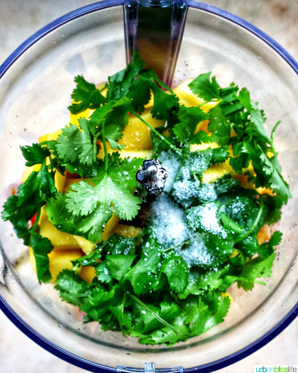 salt added to cilantro and mango in a food processor.