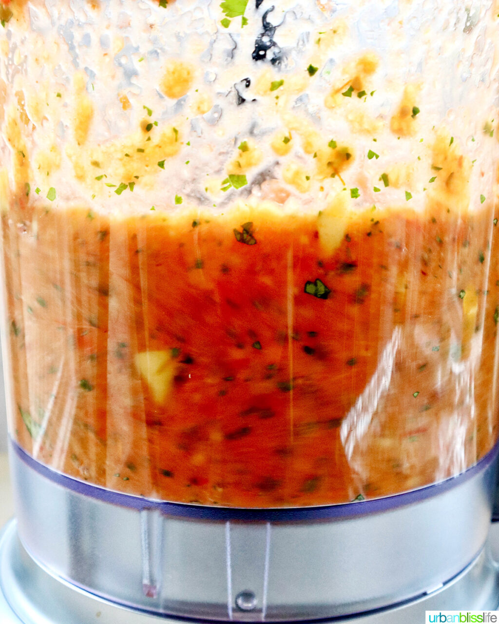 mango habañero salsa in a food processor.