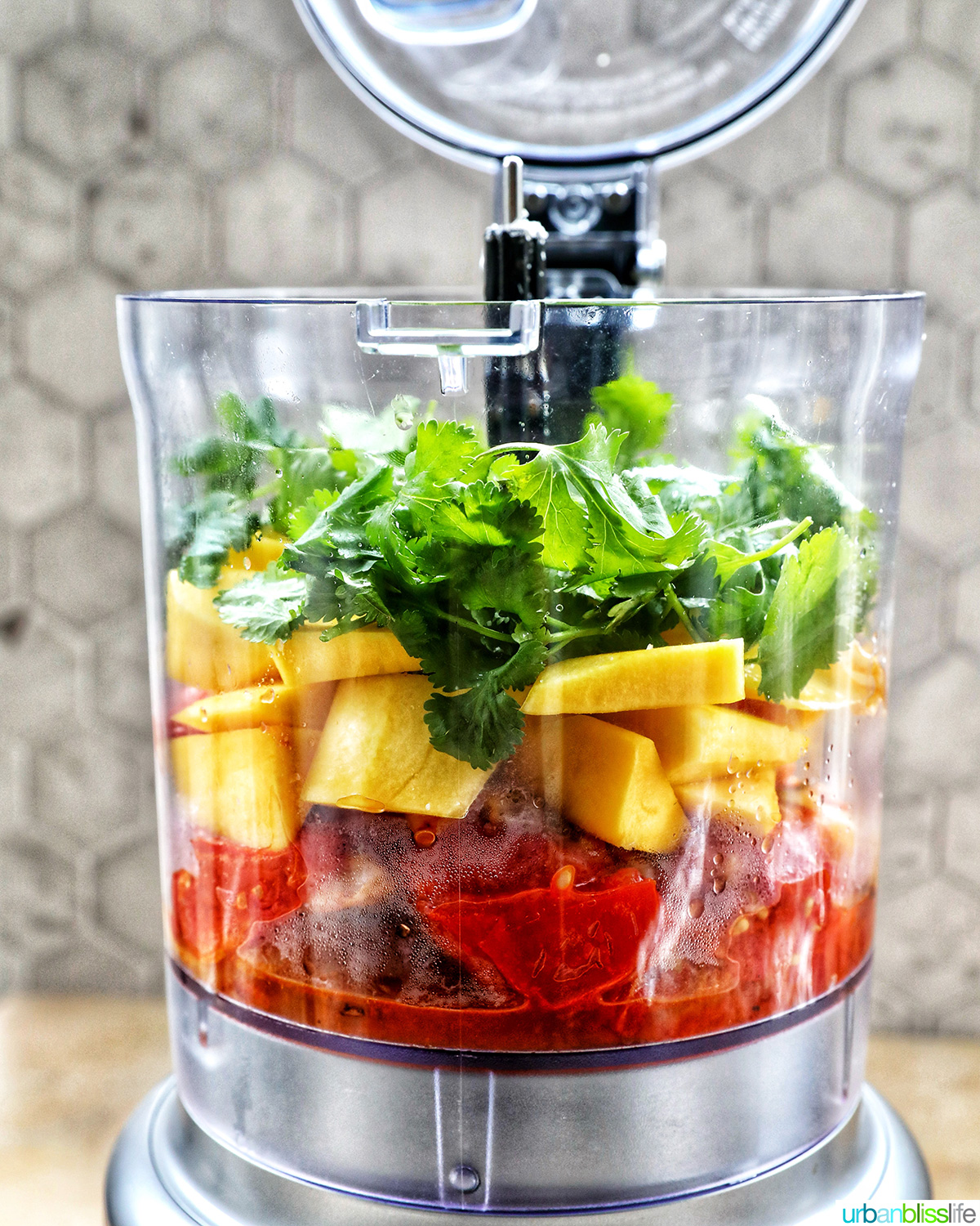 side view of ingredients to make mango habañero salsa in a food processor.