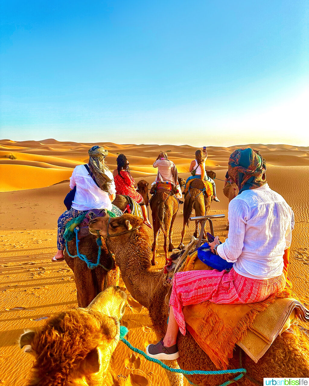 riding camels in the Sahara Desert in Morocco,