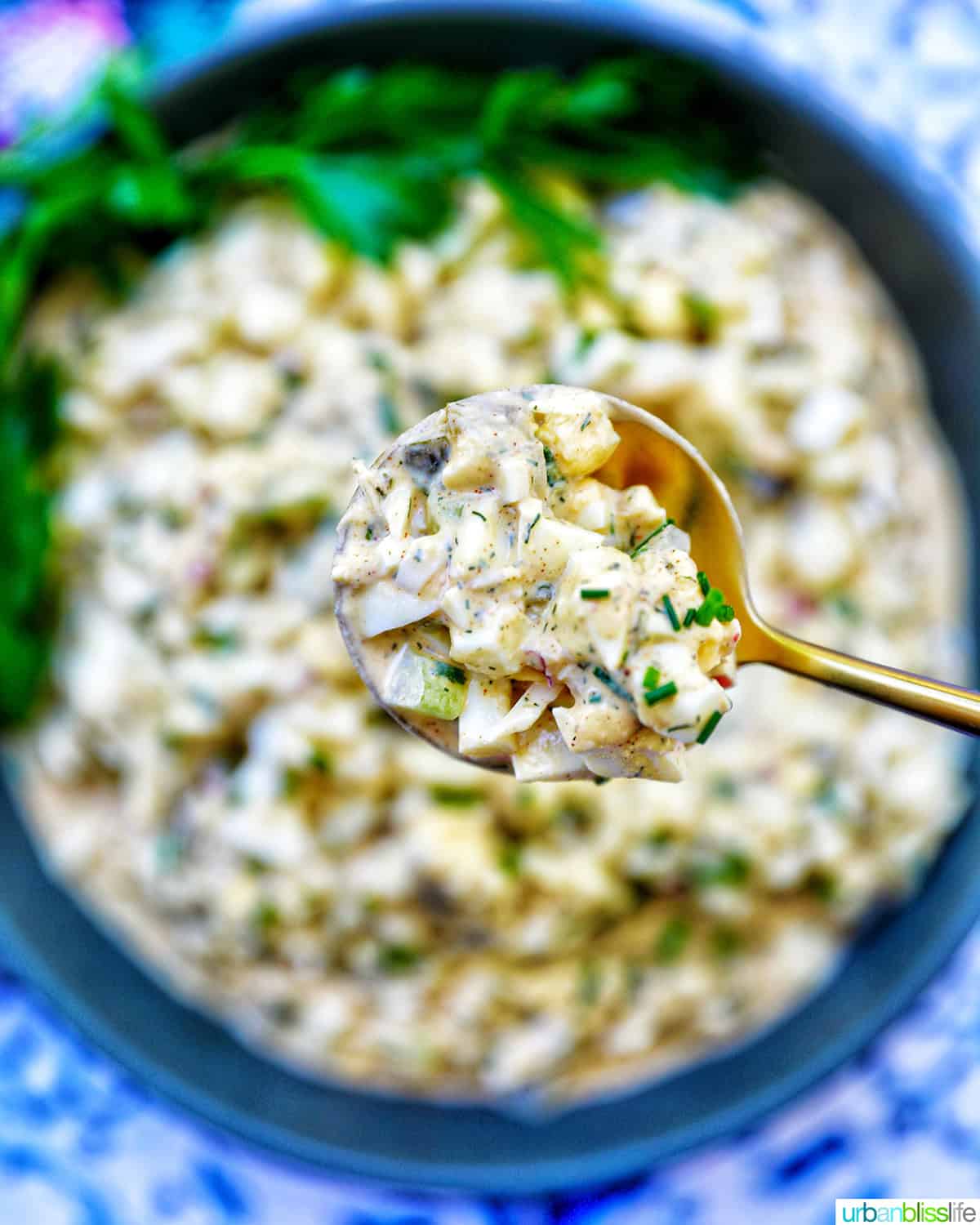 spoonful of egg salad over a bowl of dill pickle egg salad.