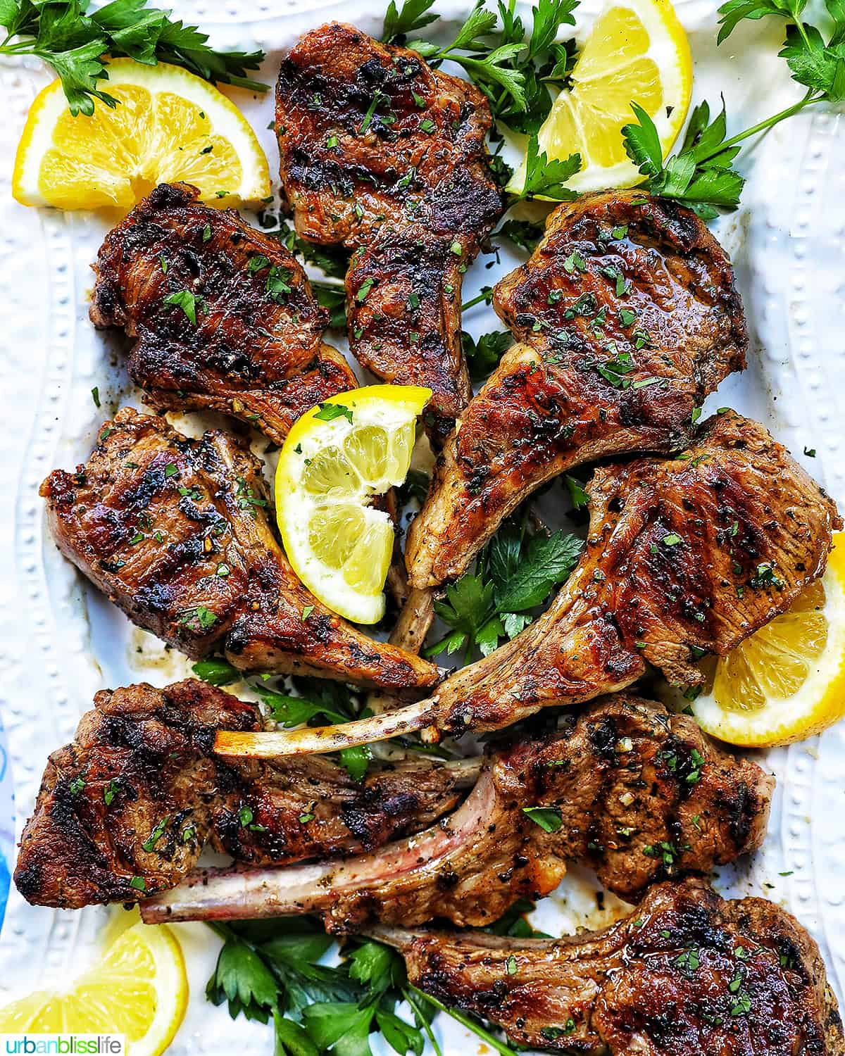 Greek lamb chops on a white plate with herbs and lemon slices.