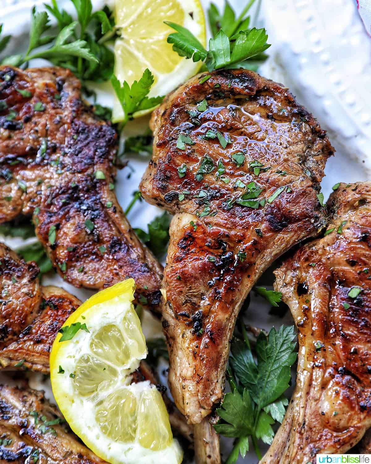 Greek lamb chops on a white plate with herbs and lemon slices.