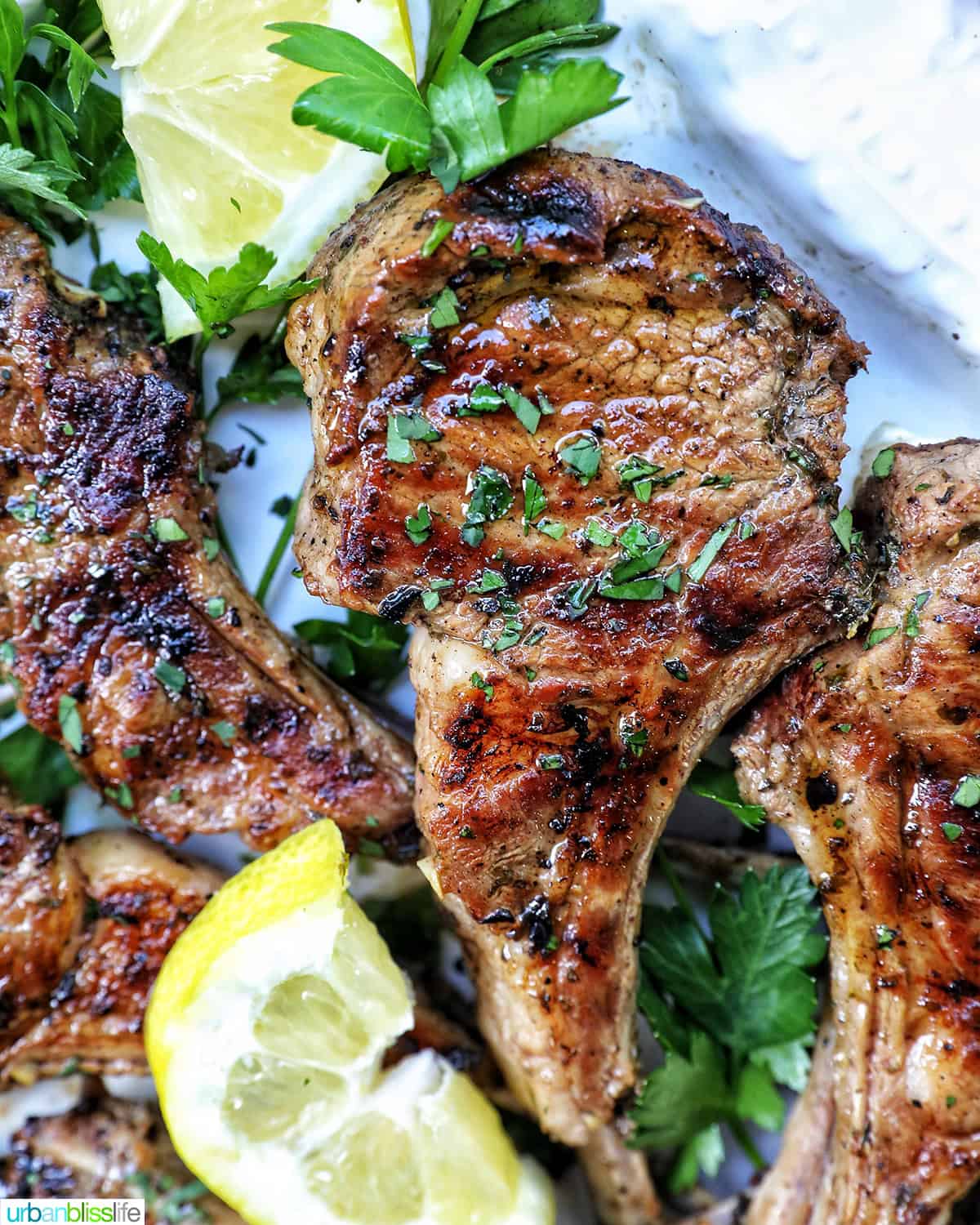 Greek lamb chops on a white plate with herbs and lemon slices.