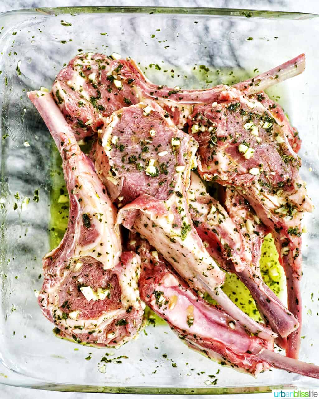lamb chops marinating.
