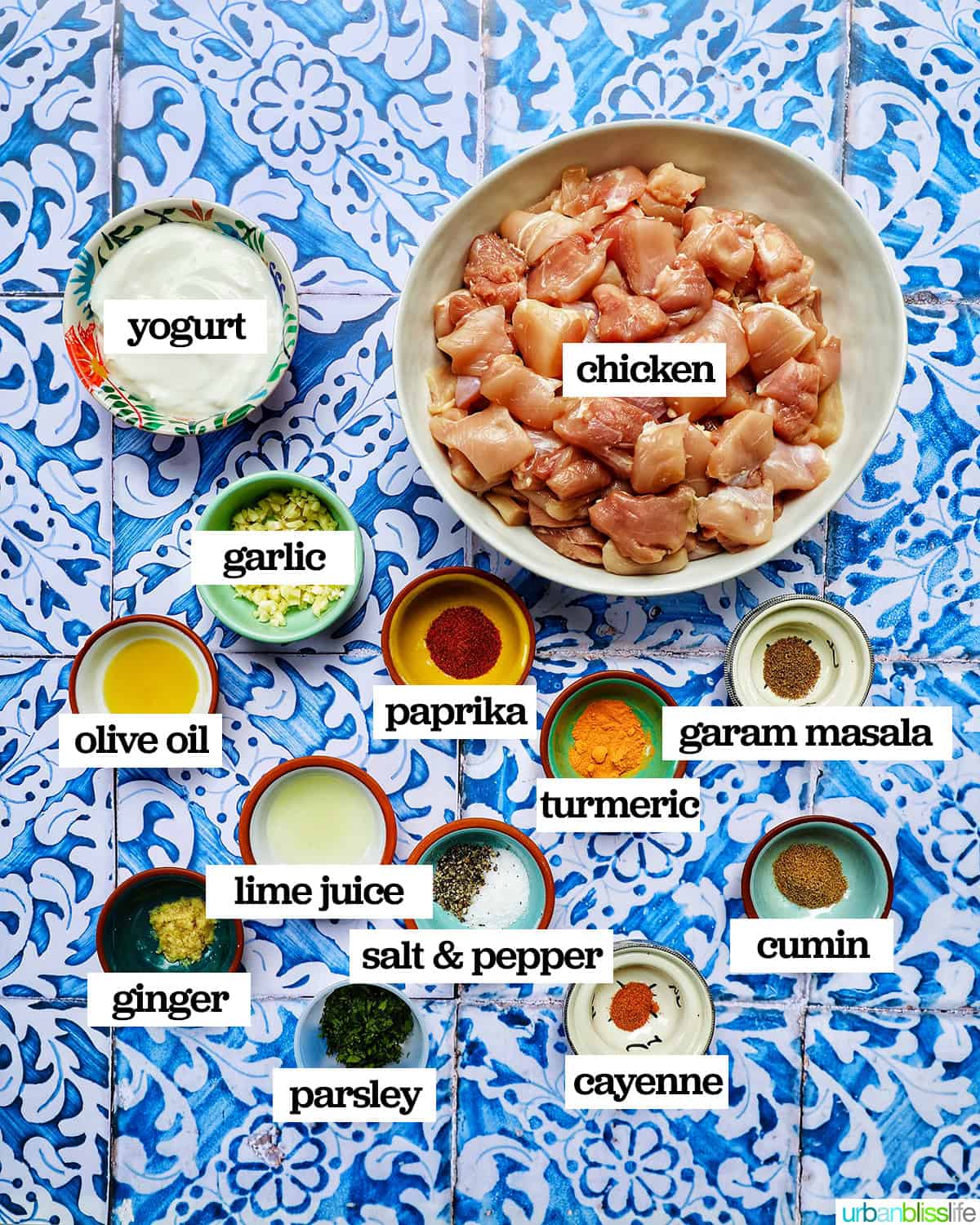ingredients to make tandoori chicken.