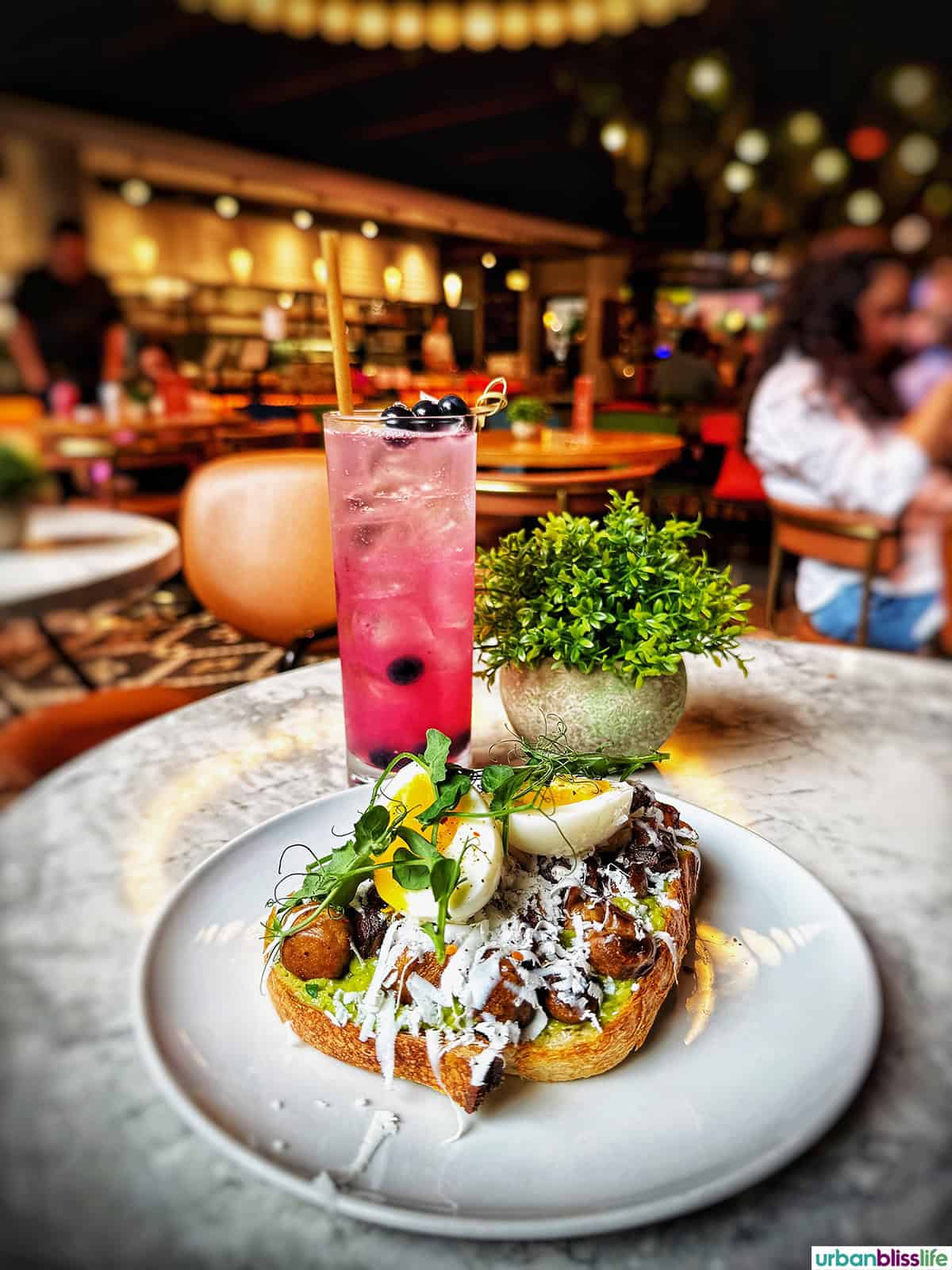 blueberry cocktail and avocado toast at Amea cafe in Montreal, Canada.