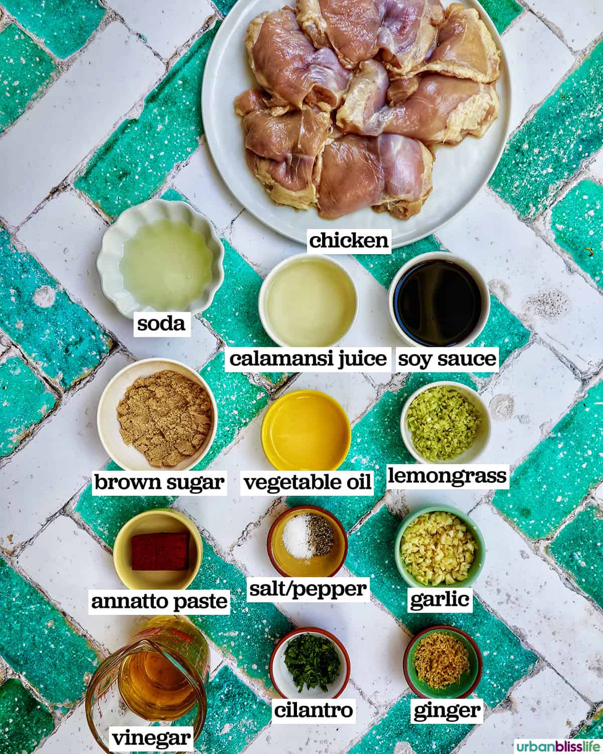 ingredients to make chicken inasal.