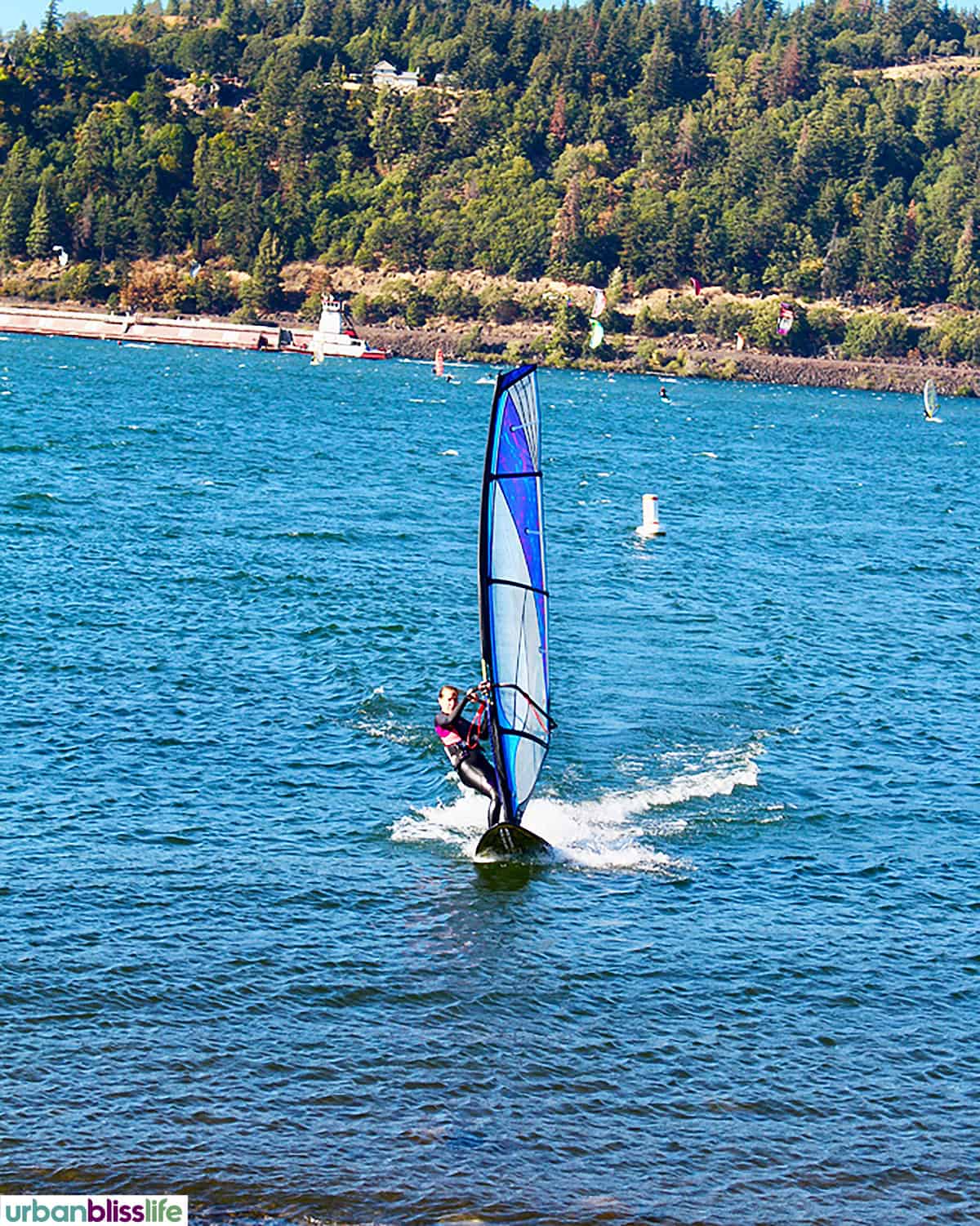 windsurfers in the Columbia River at Hood River.
