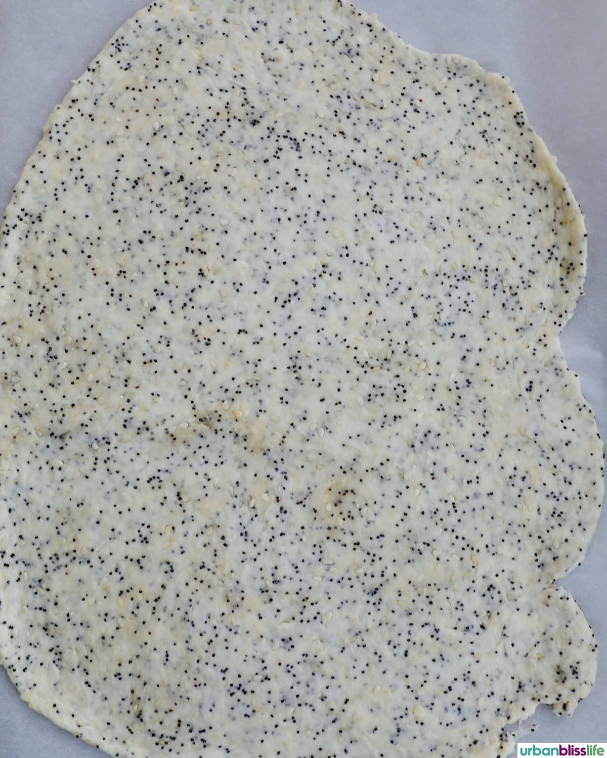 sesame cracker dough rolled out.