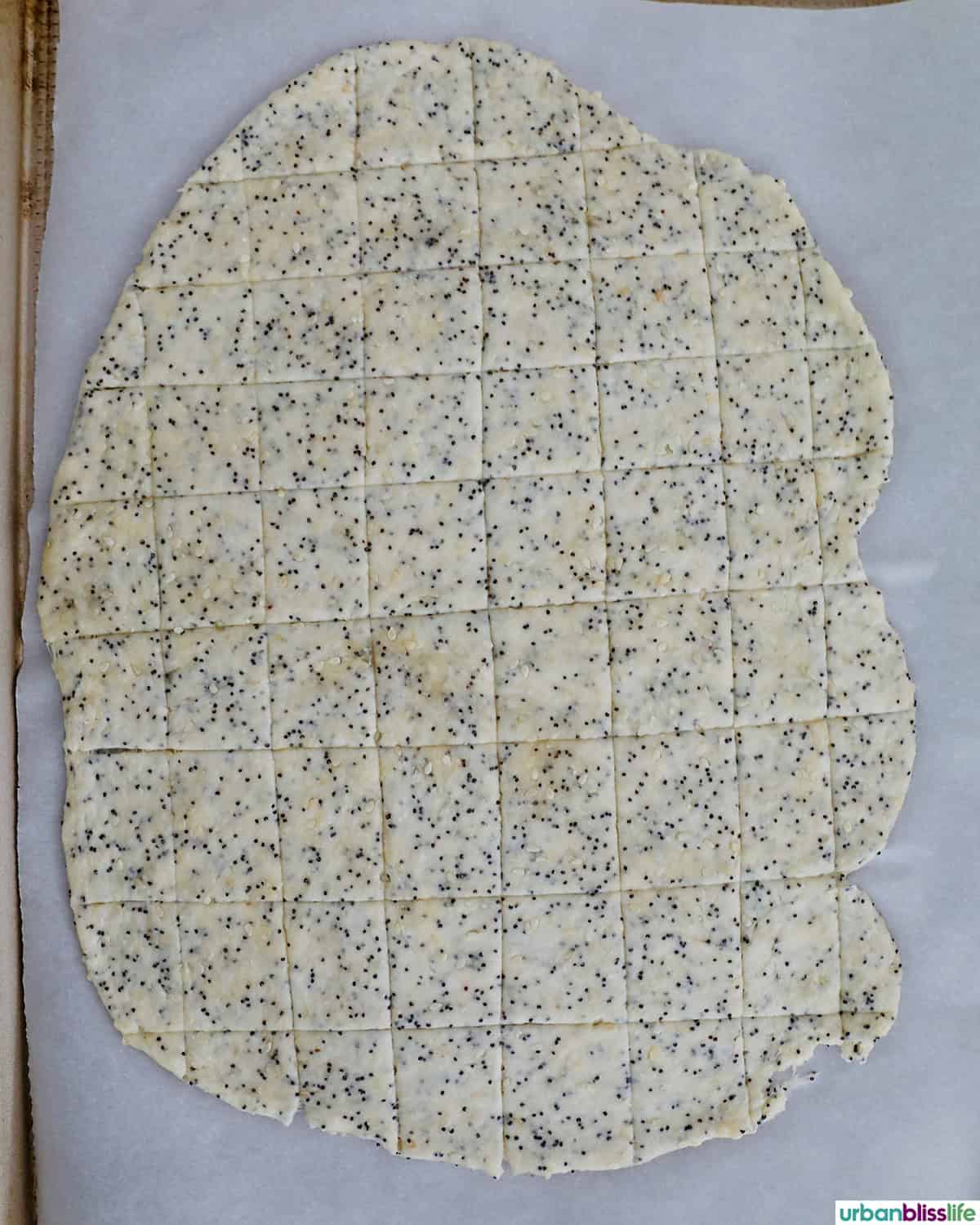 sesame cracker dough rolled out.