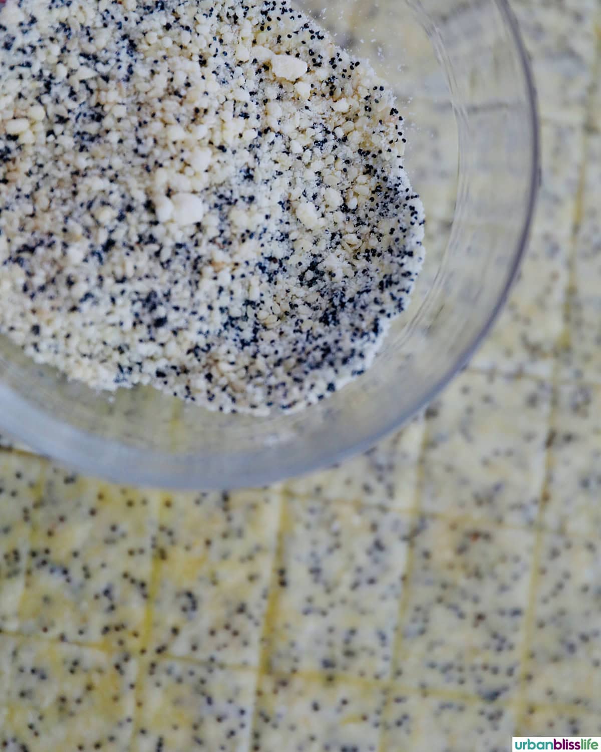 several sesame crackers laid out on a baking sheet.