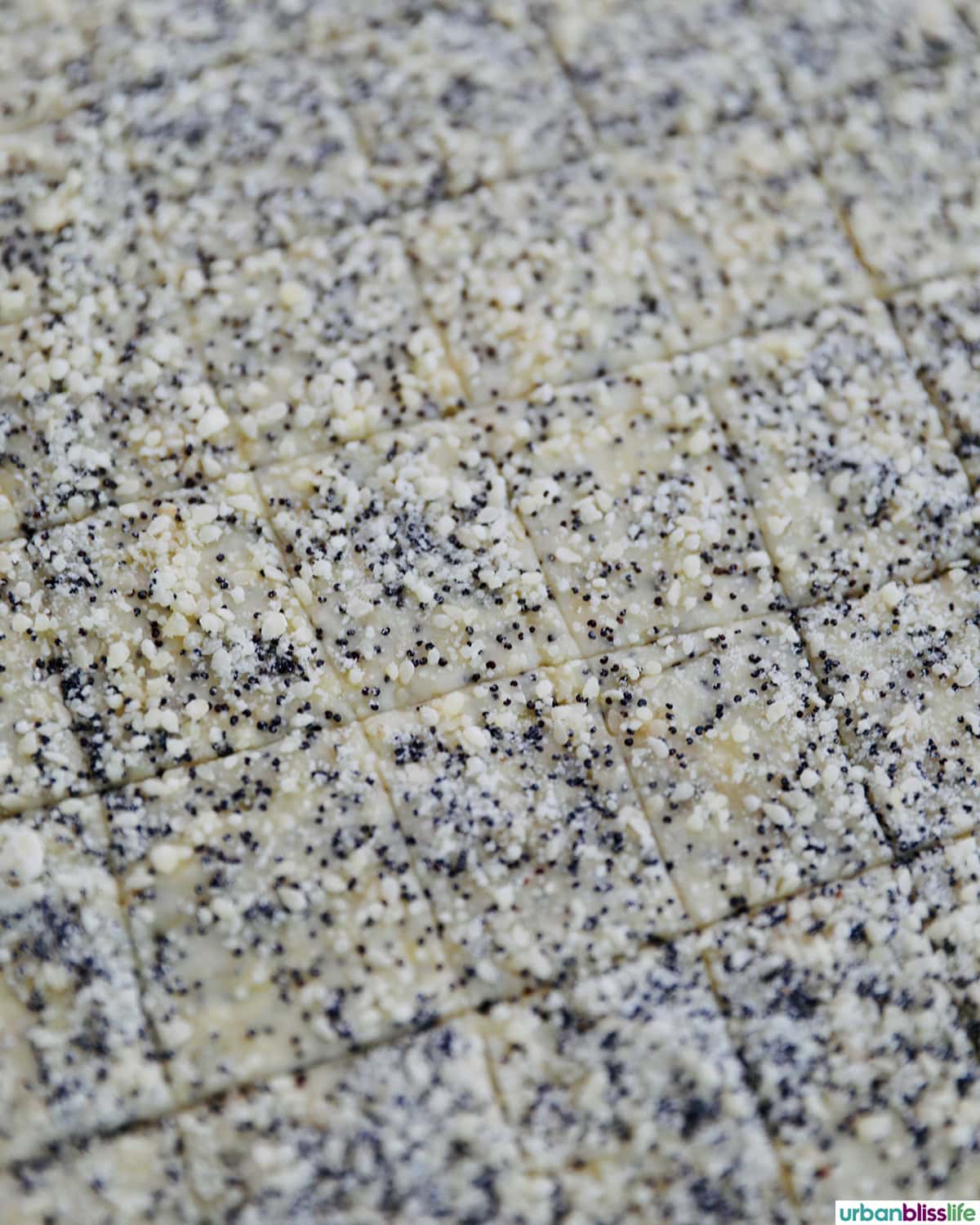 several sesame crackers laid out on a baking sheet.