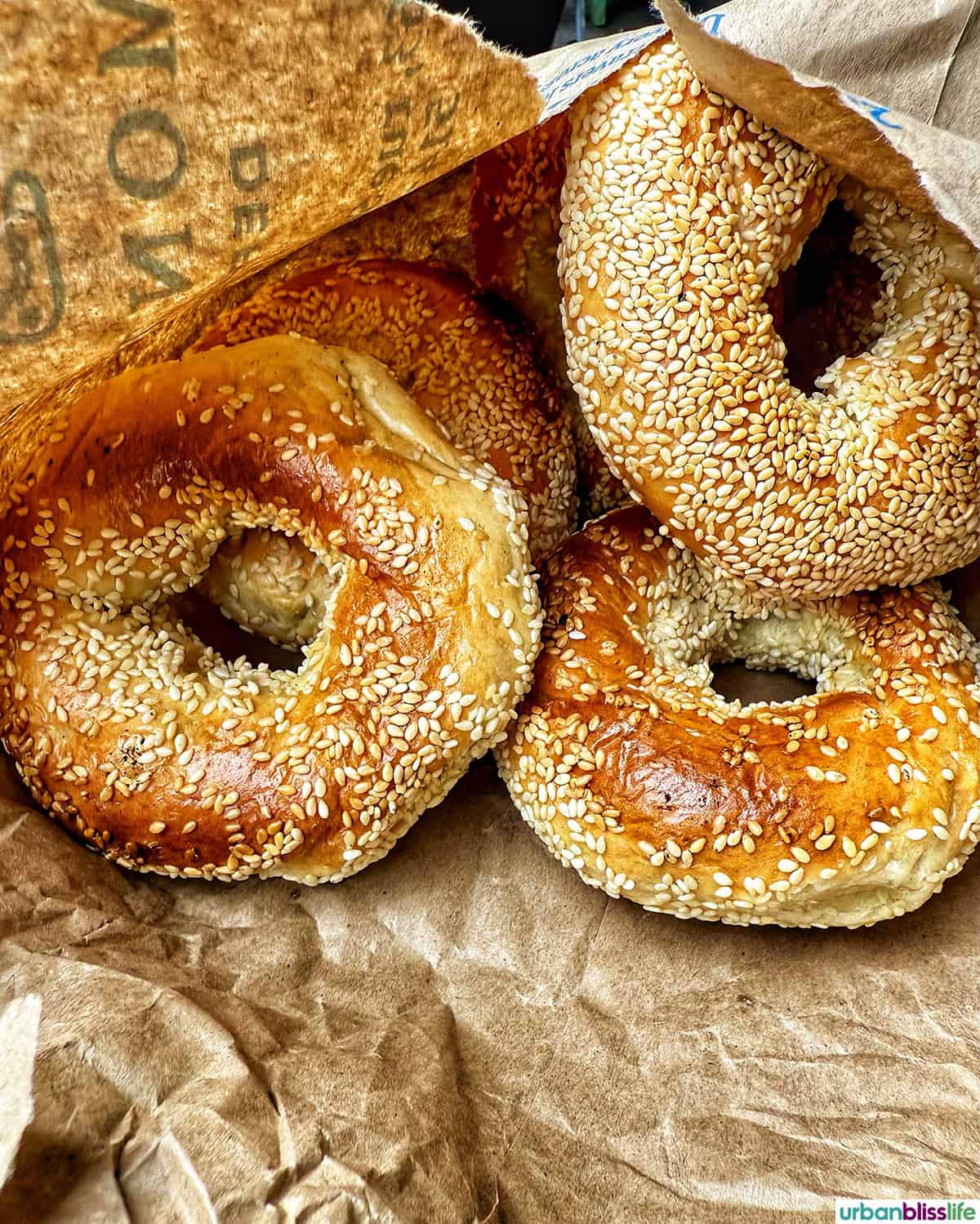 St Viateur bagels.